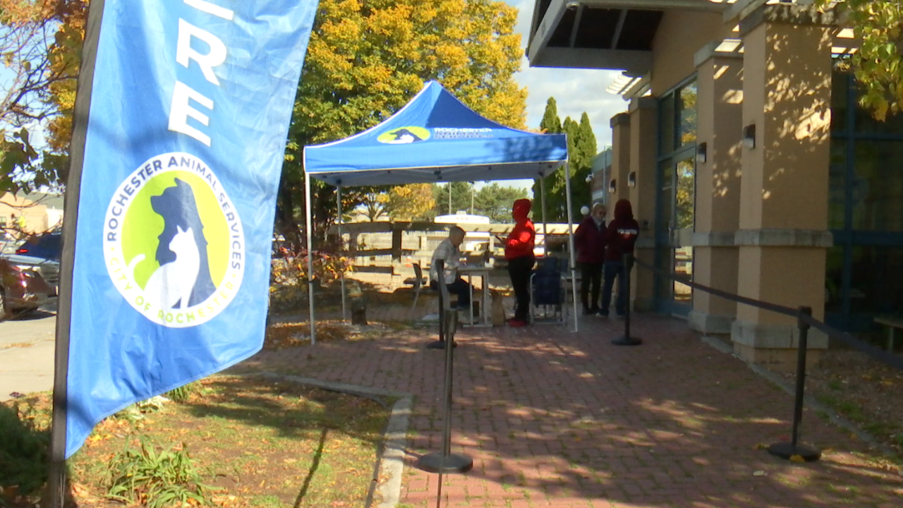 Families gather at the Rochester Animal Services free adoption event on Halloween.